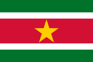 Surinaamse vlag voor BHV- en EHBO-regelgeving, NedCert Experts.